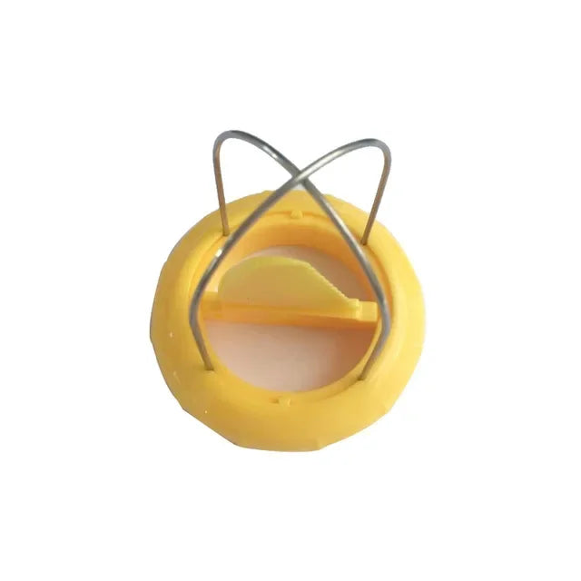 Quick Kiwi Cutter & Peeler — Ready in One Slice