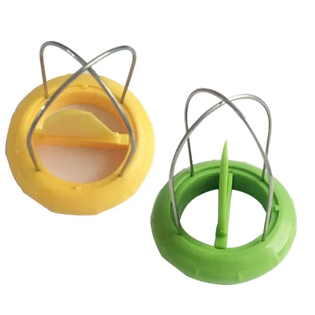 Quick Kiwi Cutter & Peeler — Ready in One Slice